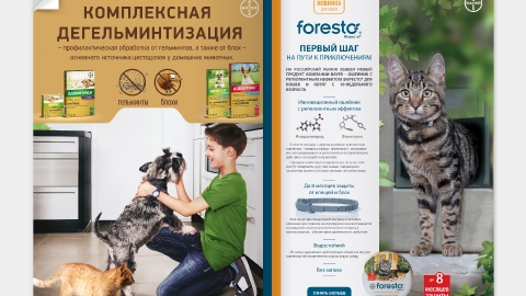 Дизайн печатной продукции и рекламных материалов для компании Bayer Дизайн печатной продукции и рекламных материалов для компании Bayer