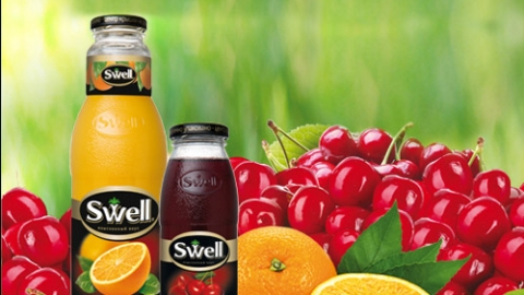 Создание интернет-баннеров для соков «Swell»